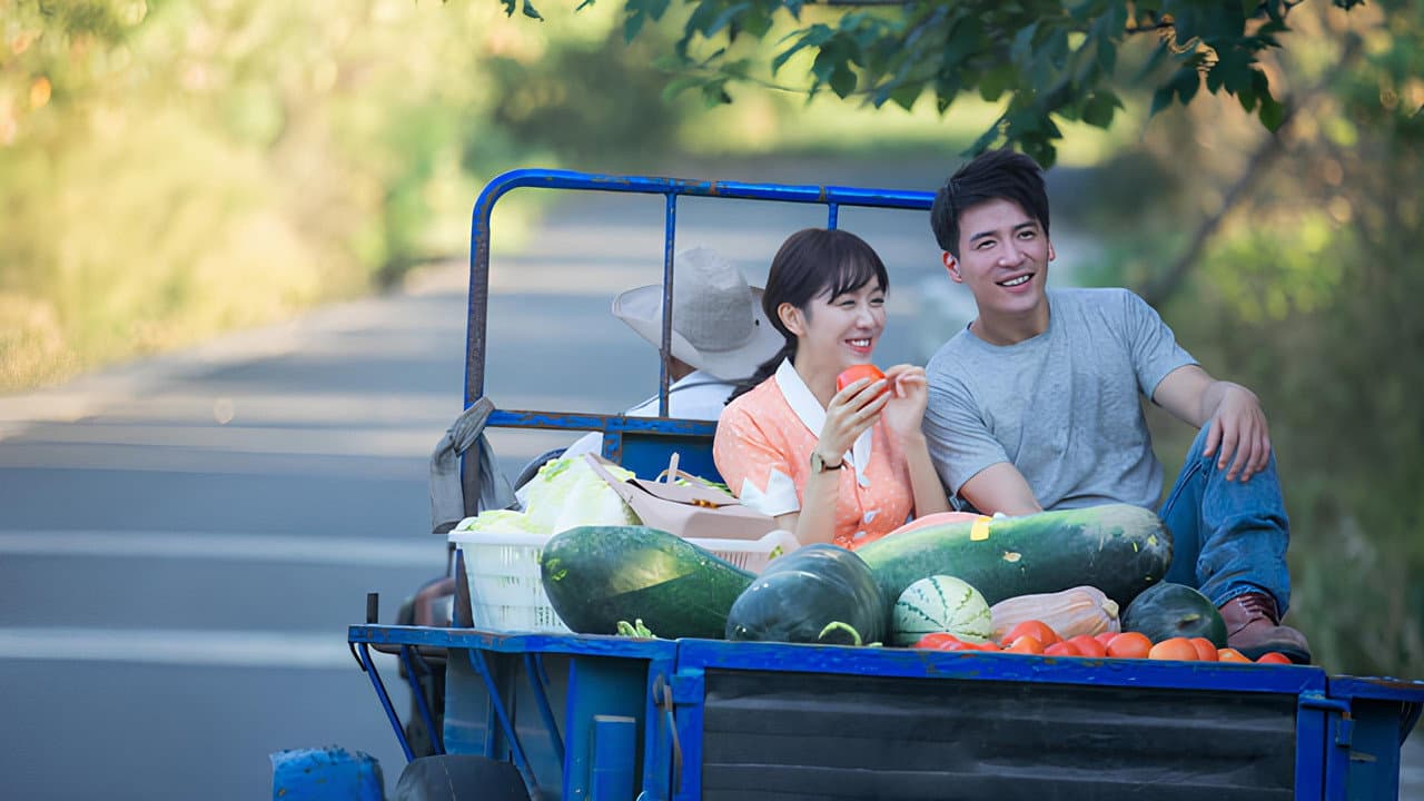 아적청춘우견니