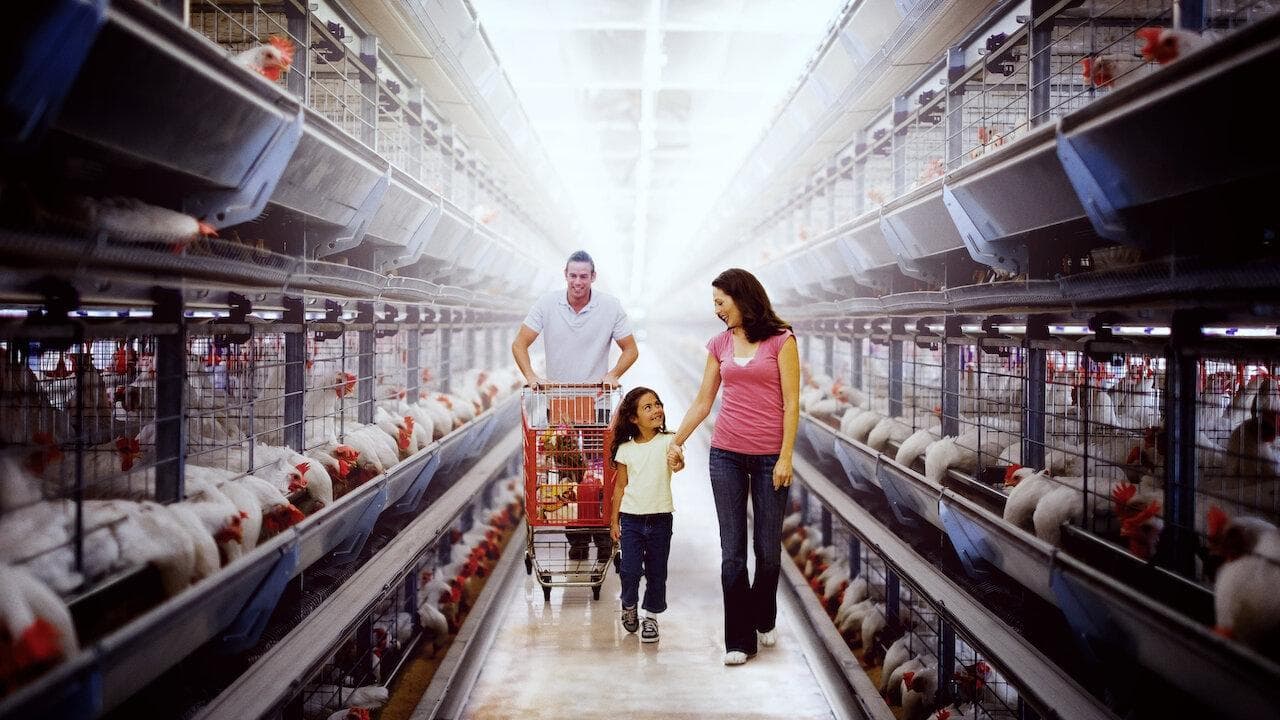 포이즌: 음식에 감춰진 더러운 진실