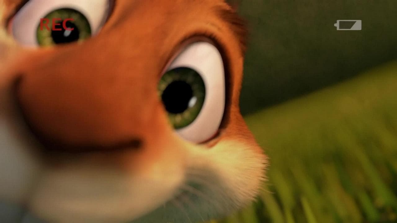 ハミーのどっきりブーメラン