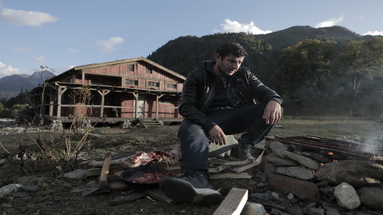 Голливудск