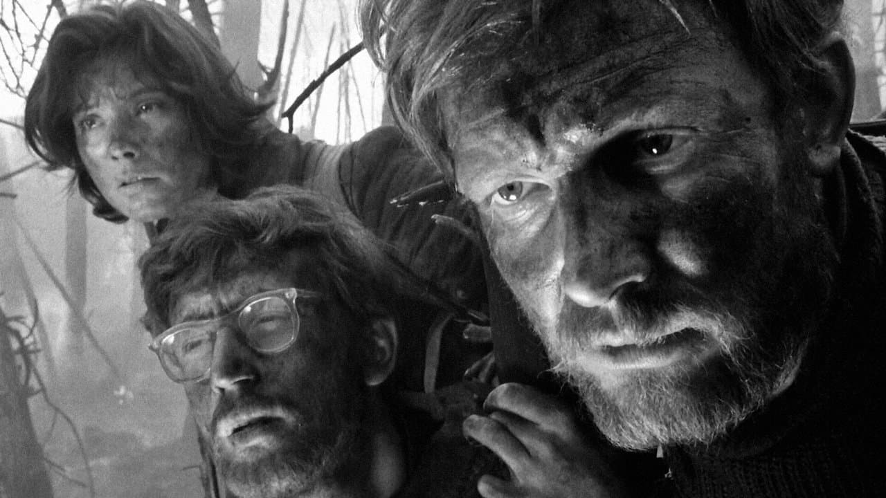 送られなかった手紙