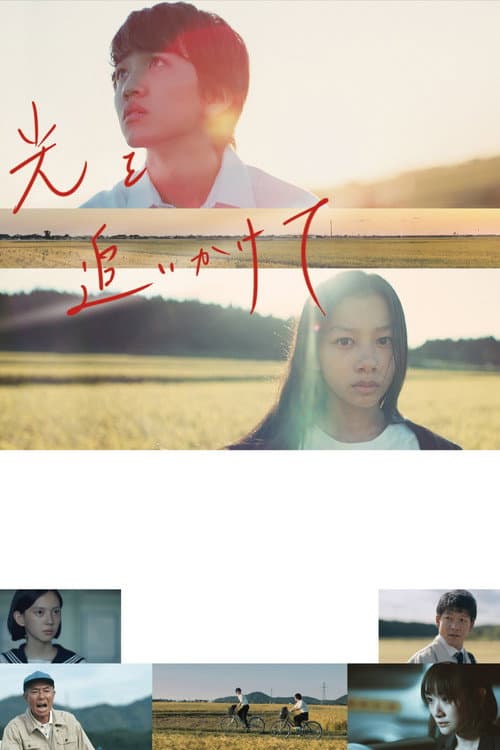 팔로우 더 라이트