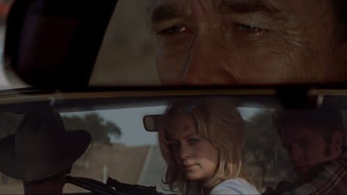 The Sugarland Express