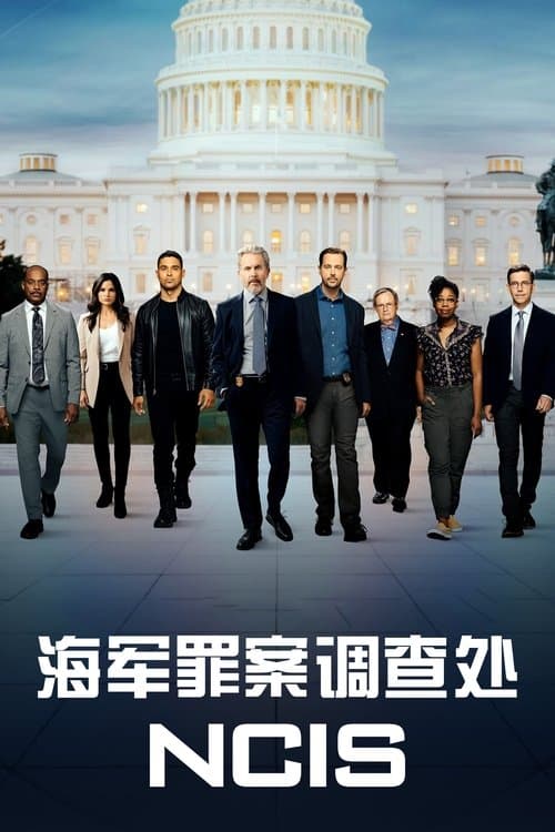 海军罪案调查处