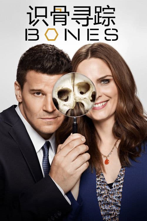识骨寻踪
