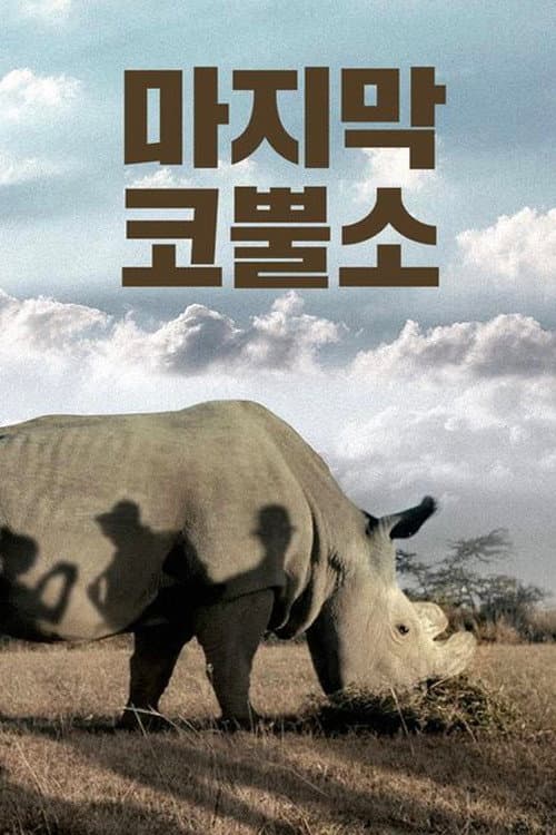 마지막 코뿔소
