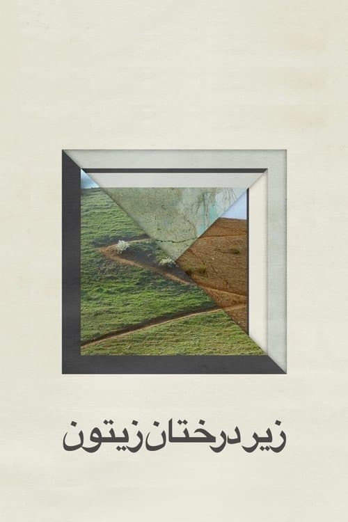 オリーブの林をぬけて